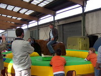 Bullriding